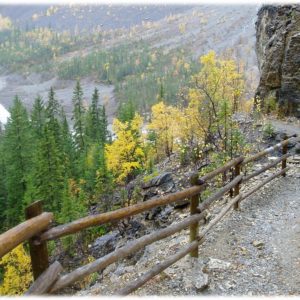 20 - hiking path-mnt-robson-1190597